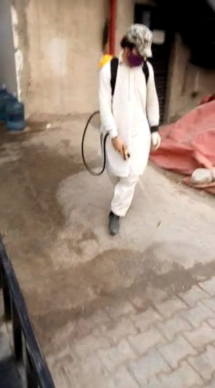 Integrated pest management & fumigation