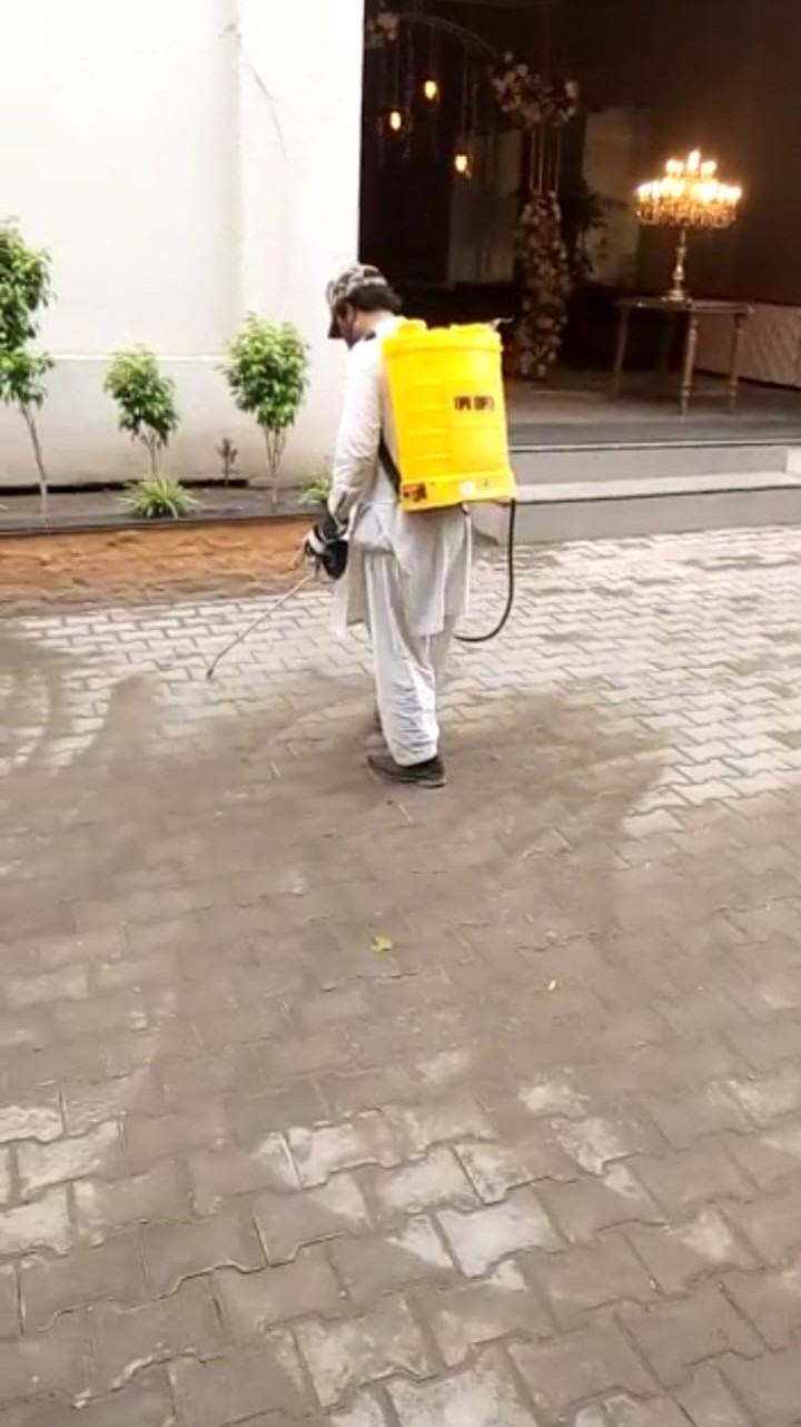 Integrated pest management & fumigation