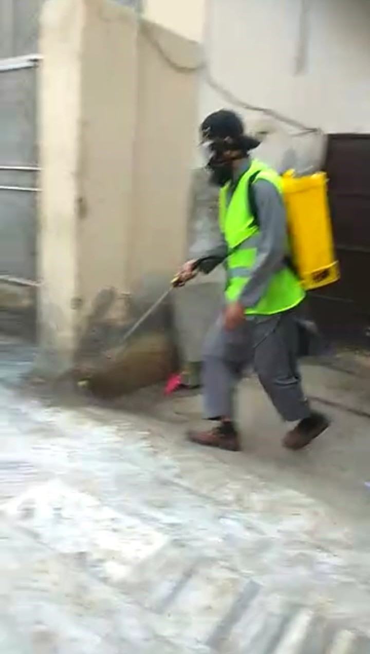 Integrated pest management & fumigation